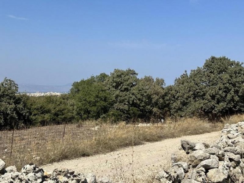 Gallos Kreta, Gallos: Erstklassiges Grundstück mit Meerblick zu verkaufen Grundstück kaufen